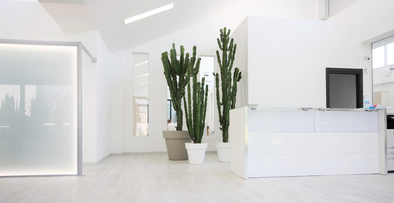 slider-home-cactus